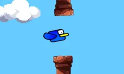 image bg Bird in Danger