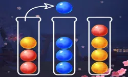 image bg Ball Sort Puzzle - Color Games