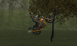 Mountain Bike Rider image