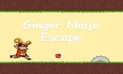 image bg Ginger Ninja Escape