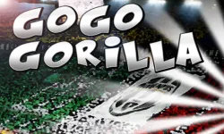 Go Go Gorilla image