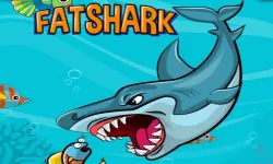 Fat Shark image