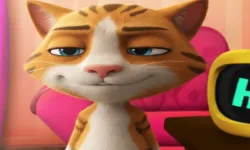 TalkBack Cat image