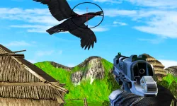 Chicken and Crow Shoot image