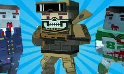 image bg Blocky Shooting Arena 3D Pixel