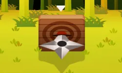 Ninja Dart image