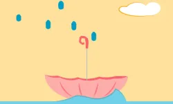 Avoid Waterdrops image