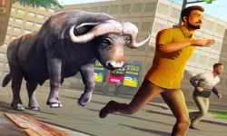 image bg Angry Bull Attack Wild Hunt Simulator