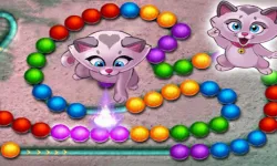 image bg Kitty Marbles