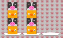 image bg Animal Sort