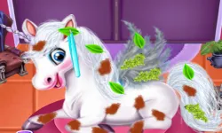 Magic Pet Salon image