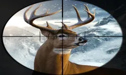 Hunter 3d image