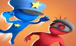 Catch The Robber image