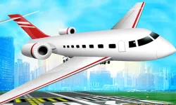 Aircraft Flying Simulator image