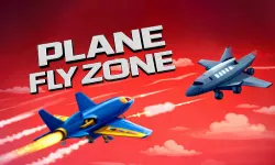 Plane Fly Zone image