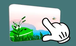 image bg Hunt - feed the frog