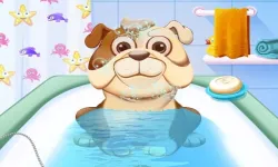Animal Daycare image