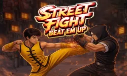 image bg Street Fight : Beat Em Up