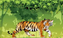 Angry Tiger Coloring image