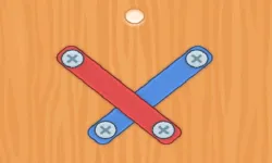Nuts Bolts Screw Puzzle image