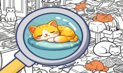 Find the Kitten: Spot the Cat image