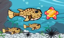 Run Fish Run image