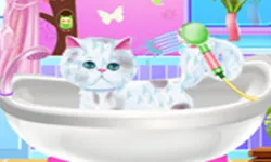 Excellent Pet Groomer image