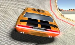 Autosimulator image