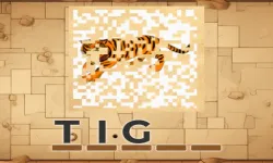 PictureCipher image