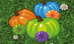 Color Pumpkin Match image