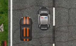 Highway Police Race image