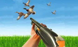 image bg BIRD HUNTING Gun Fire Shooter