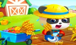 image bg Baby Panda Dream Garden