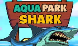 Aqua Park Shark image