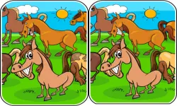Animals Differences image