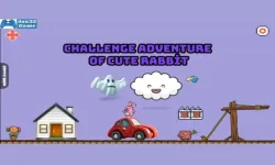 Challenge adventure of cute rabbit image