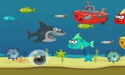 Crazy Shark image