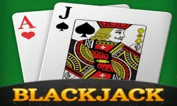BlackJack Simulator image