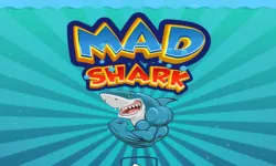 image bg Mad Shark