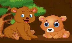 Baby Bear Jigsaw image