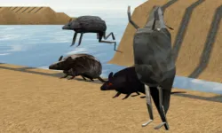 Mouse Race Islands image