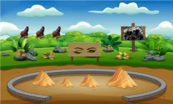 Find the Ostrich tag image