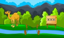 Rescue The Hungry Camel image