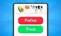 image bg True False - Quiz