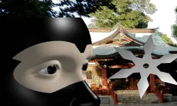 Ninja Academy image