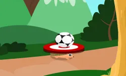 Soccer Target image