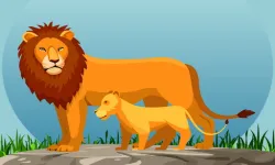 image bg Wild Animals and Their Babies
