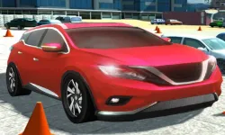 CIty Stunt Driving image