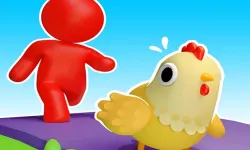 Pet island image