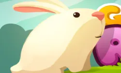 image bg Feed Vegetables Rabbit